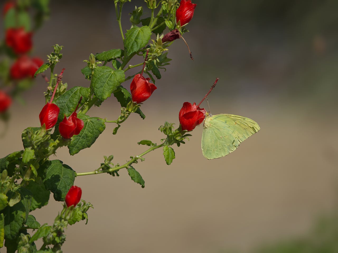 How Different Mindsets Shape Personal Growth and Progress